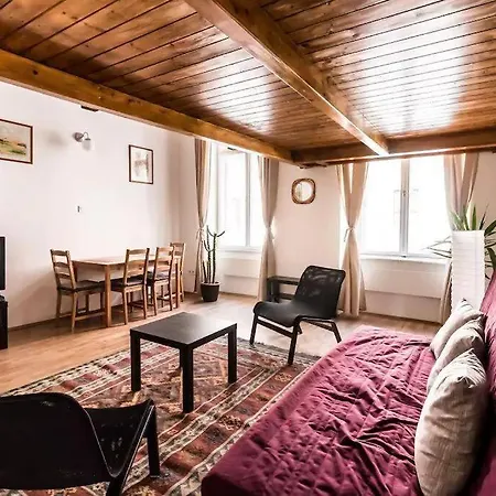 Spacious Lofted Place Next To The Pub District Apartment